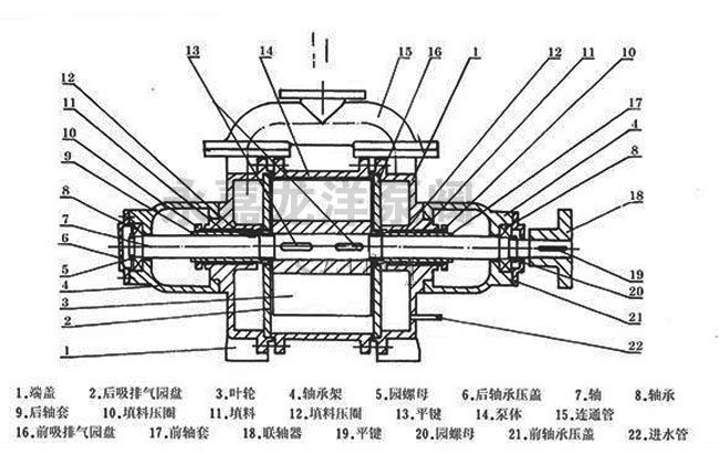 SK系列水環式真空泵結構圖