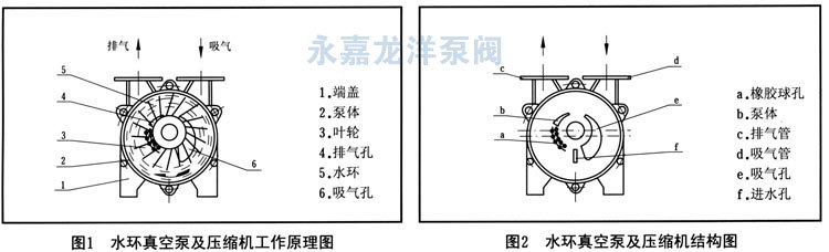 SK系列水環式真空泵工作原理圖