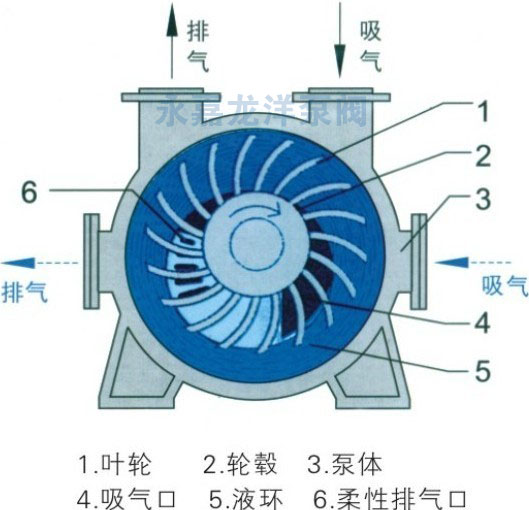 2BE系列水環式真空泵結構示意圖