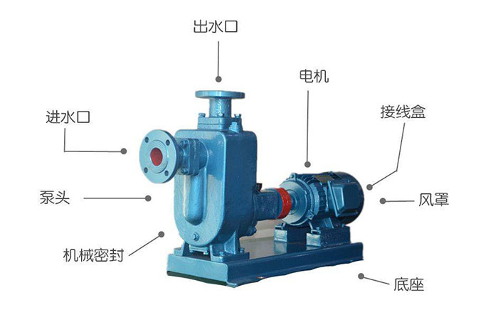 ZW不銹鋼自吸泵結構圖